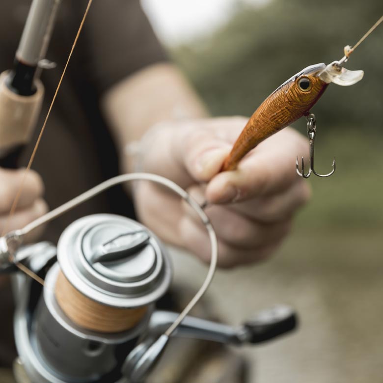 FISHING SCHOOL